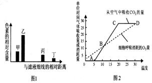 下列圖1表示利用大豆幼苗的綠葉進行色素提取和分離實驗的結果,圖2表示溫室中該幼苗的光合速率 呼吸速率隨溫度變化的曲線 據圖分析錯誤的是 a.甲 乙主要吸收藍紫光和紅光