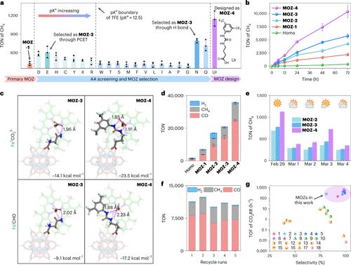 單層金屬有機框架材料助力高效人工光合作用