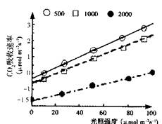 弱光環(huán)境下CO?濃度提升無法增強(qiáng)光合作用的原因探究